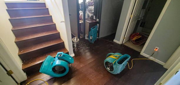 Best Water damage restoration near me  in Girard, IL