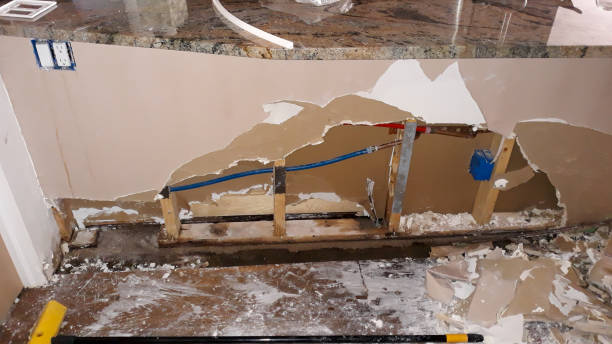  Girard, IL Water damage restoration Pros